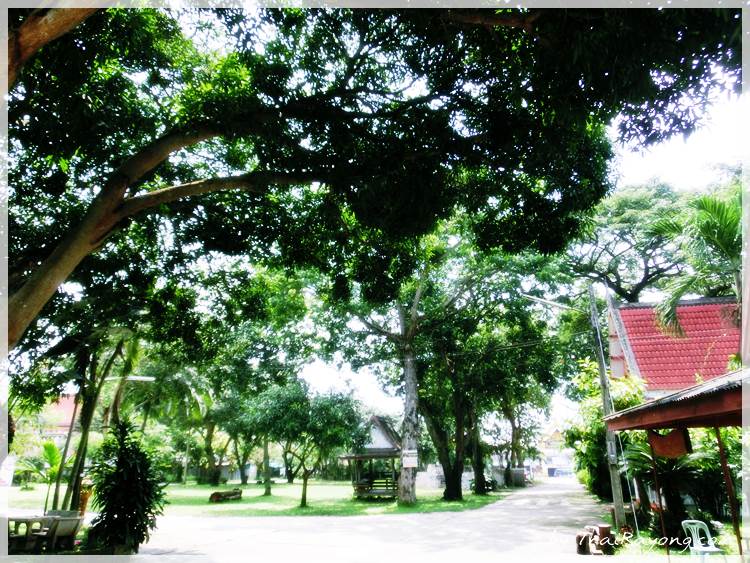 Thai Rayong