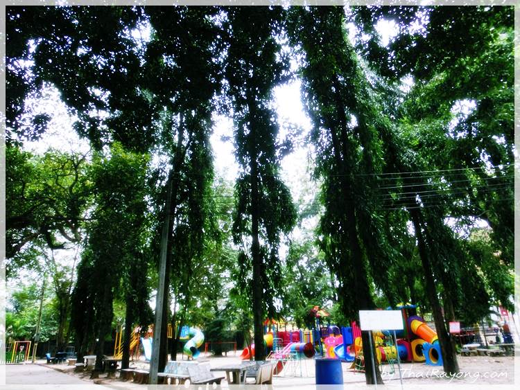 Thai Rayong