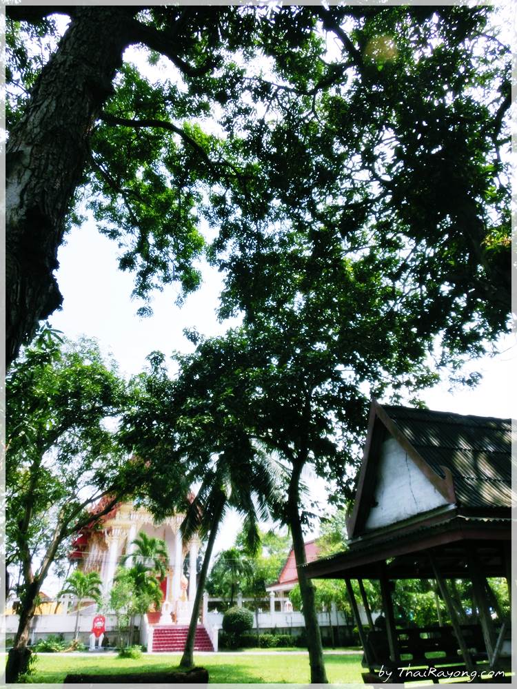Thai Rayong