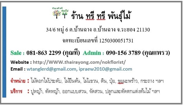 แผนที่ ทรี ทรี พันธุ์ไม้ โทร 081-8632299 แยกไปหาดน้ำริน ติดถนนสุขุมวิท  