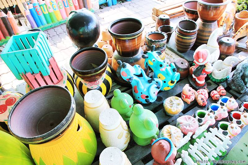  ร้านต้นไม้ระยอง จัดตกแต่งสวน  รับตัดหญ้าโทร 081-8632299 บ้านฉาง   