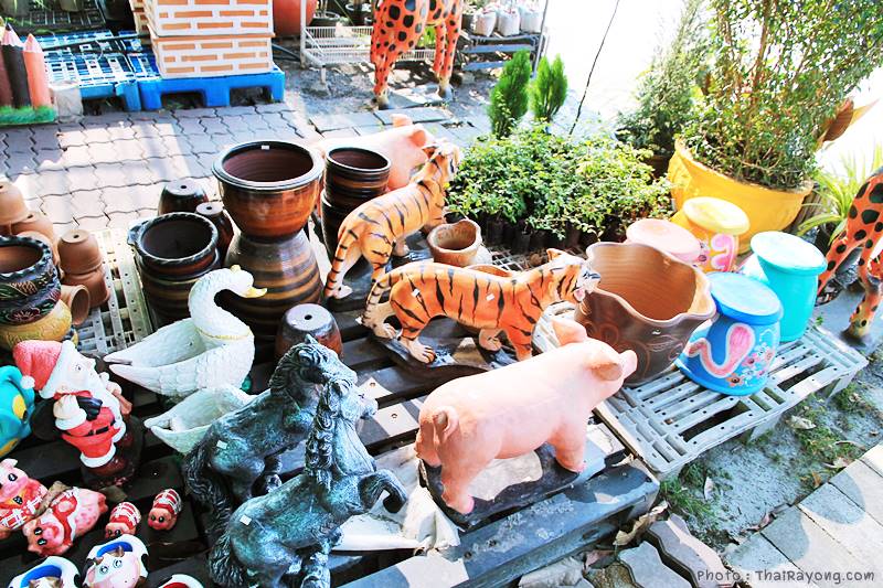  ร้านต้นไม้ระยอง จัดตกแต่งสวน  รับตัดหญ้าโทร 081-8632299 บ้านฉาง   